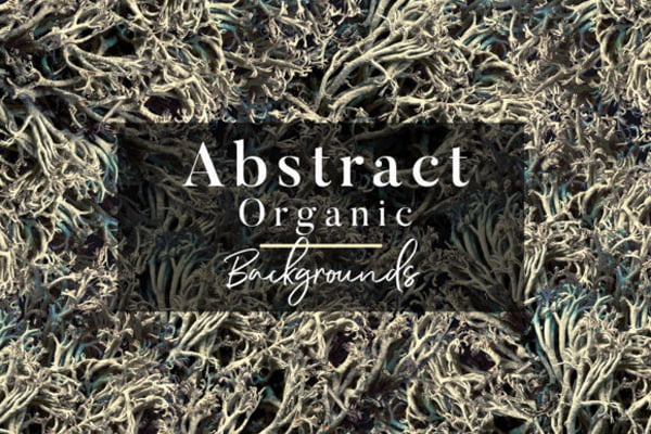 Abstract Organic Backgrounds Abstract Organic Backgrounds