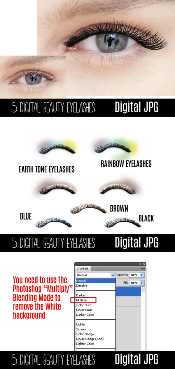 Beauty Eyelashes Makeup Overlay Beauty Eyelashes Makeup Overlay