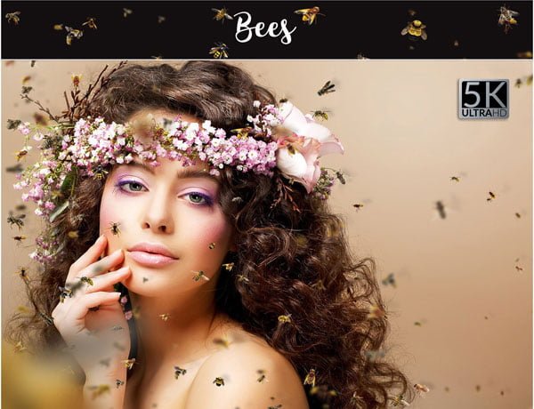 Bees Png Overlay