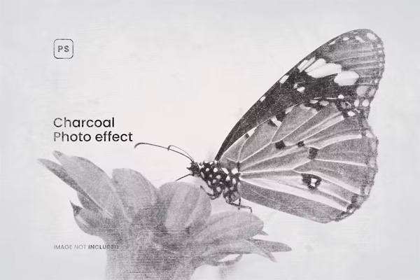 Charcoal Photo Effect Charcoal Photo Effect
