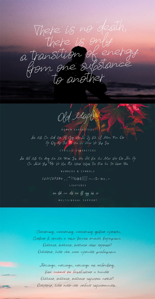 CreativeMarket - Old Maple CreativeMarket - Old Maple