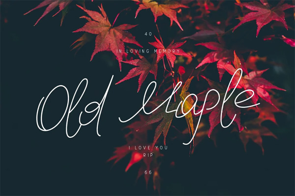 CreativeMarket - Old Maple CreativeMarket - Old Maple