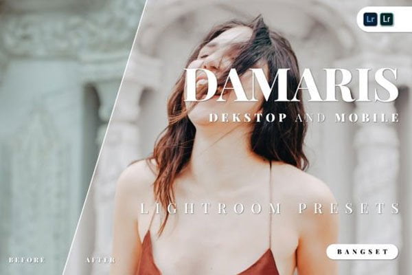 Damaris Lightroom Presets Free Download Damaris Lightroom Presets