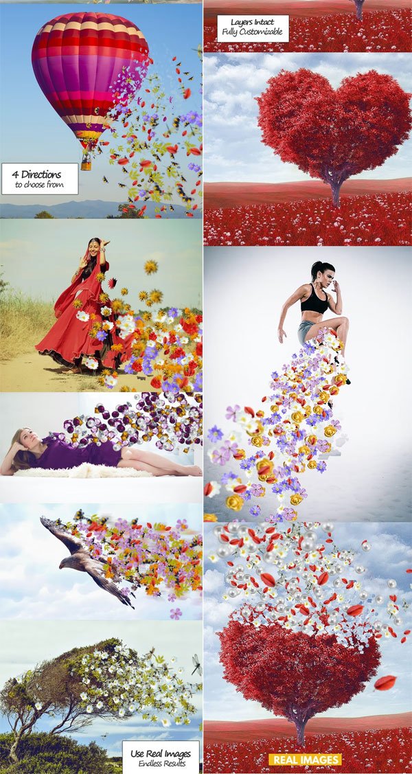 Dispersion Real Images Action