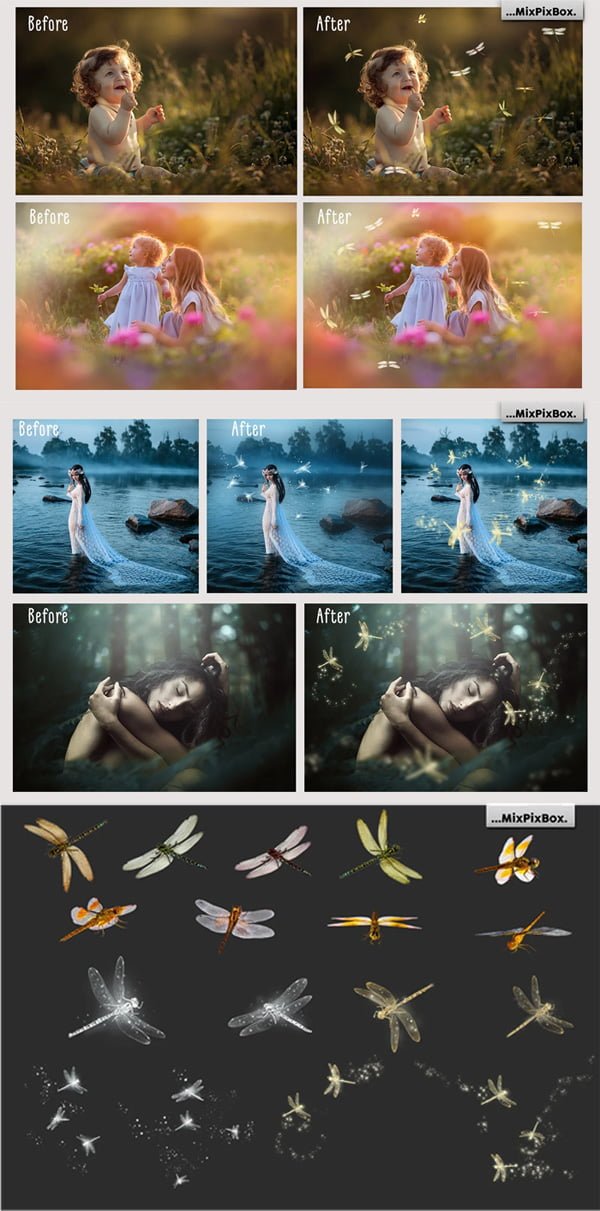 Dragonfly Overlays