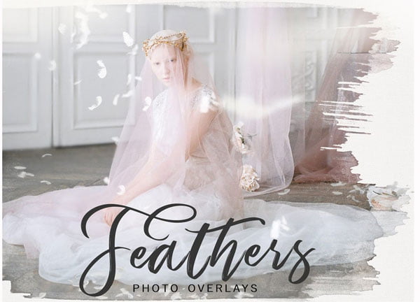 Falling Feathers PNG Photo Overlays Falling Feathers PNG Overlays