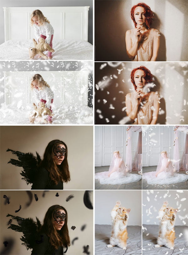 Falling Feathers PNG Photo Overlays Falling Feathers PNG Overlays