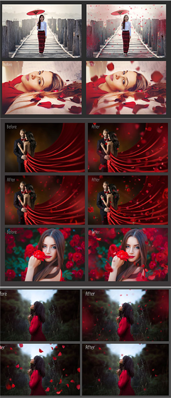 Falling Rose Petals Photo Overlays