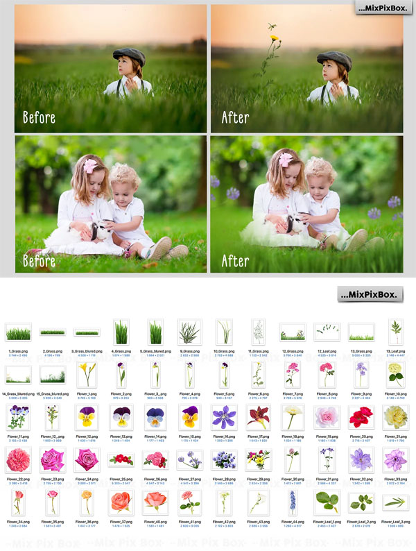 Grass & Flowers Photo Overlays Grass & Flowers Photo Overlays