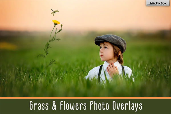 Grass & Flowers Photo Overlays Grass & Flowers Photo Overlays
