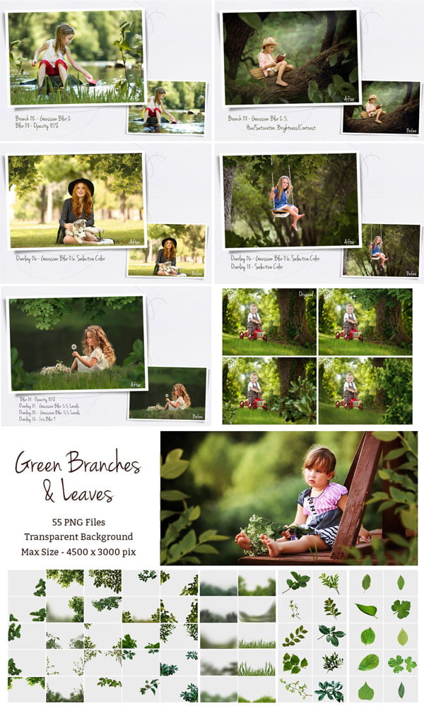 Green Branches and Leaves