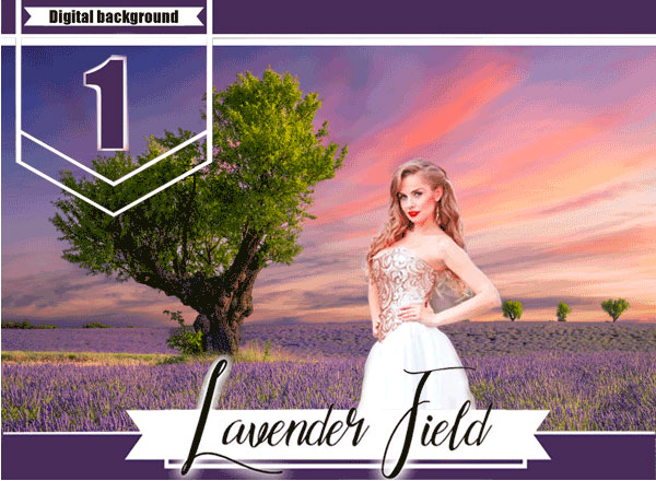 Lavender Fields Backdrop Photo Overlay Lavender Fields Backdrop Overlay