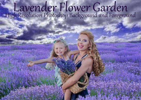 Lavender Flower Garden