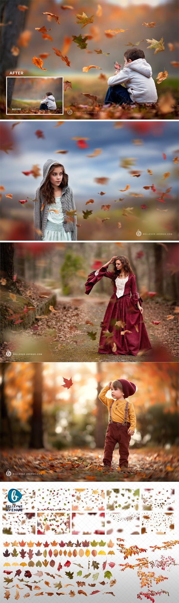Leaf & Branch Overlays