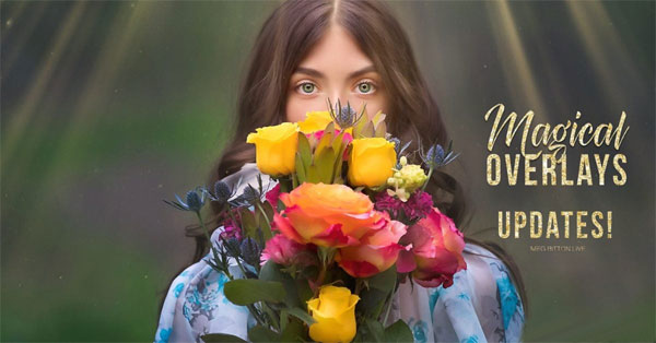 Meg Bitton Photography Overlays & Action