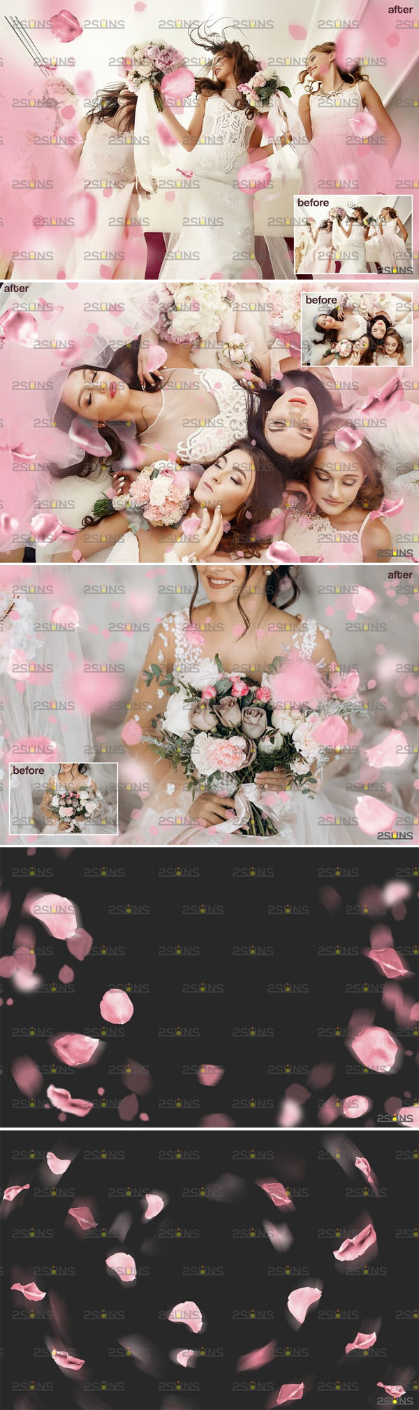 Pink Rose Petals Photo Overlays Pink Rose Petals Overlays