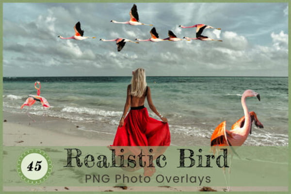Realistic Birds Overlays Photoshop Realistic Birds Overlays Photoshop