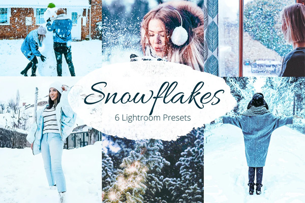 Snowflakes Lightroom Presets