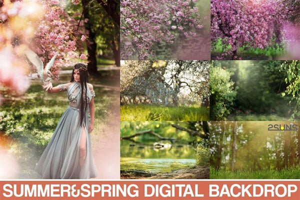 Summer Backdrop Flower Overlays
