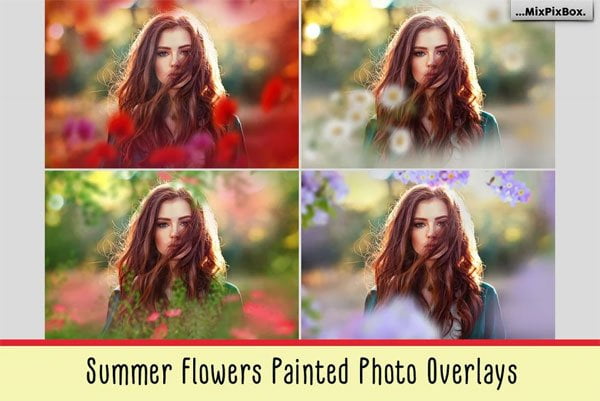 Summer Painted Flowers Summer Painted Flowers