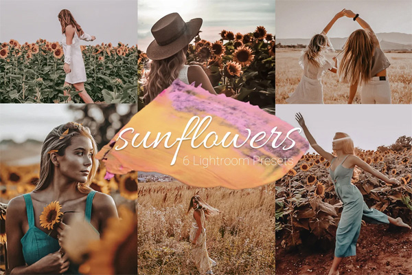 Sunflowers Lightroom Presets Lr Sunflowers Lightroom Presets Lr