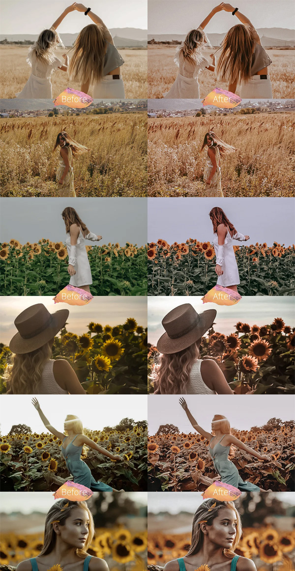 Sunflowers Lightroom Presets Lr Sunflowers Lightroom Presets Lr