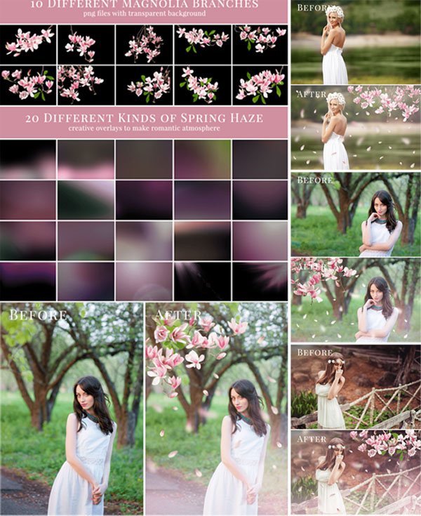 Under Magnolia Photo Overlays