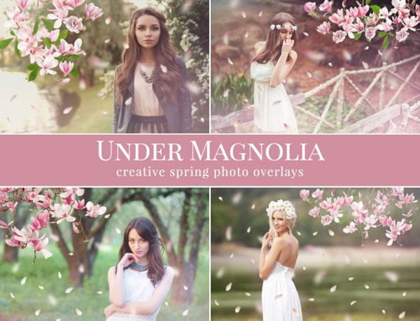 Under Magnolia Photo Overlays