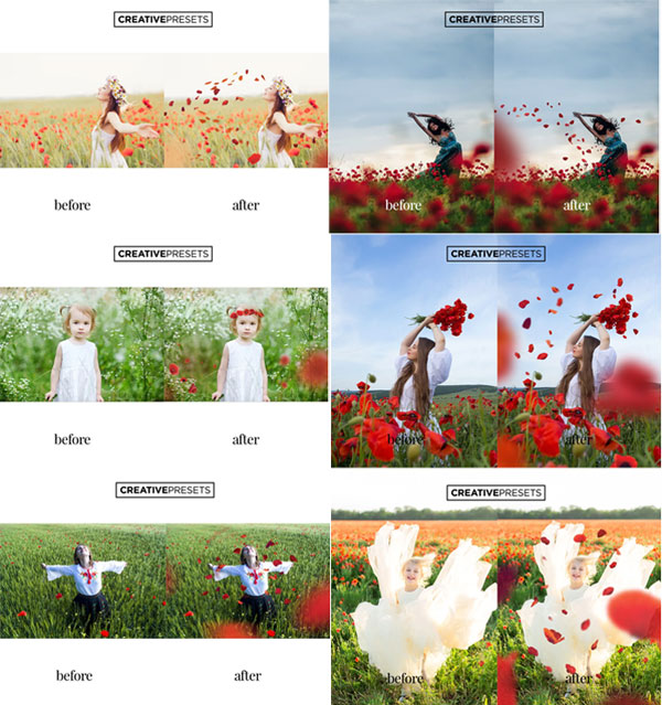 Wild Poppies Leaves Overlays Wild Poppies Leaves Overlays