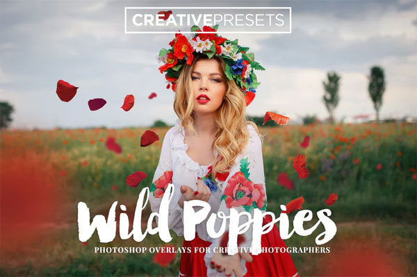 Wild Poppies Leaves Overlays Wild Poppies Leaves Overlays