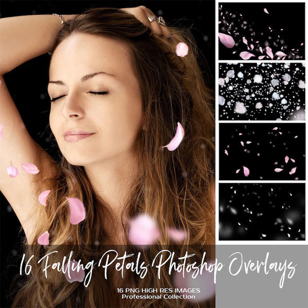 16 Falling Petals Overlays