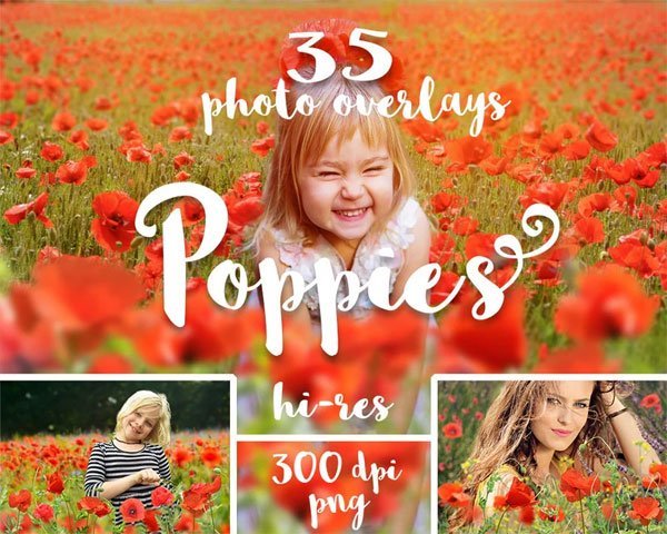 35 Poppies Png Photo Overlays 35 Poppies Png Overlays
