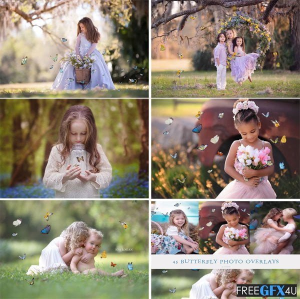 45 Butterfly Overlays