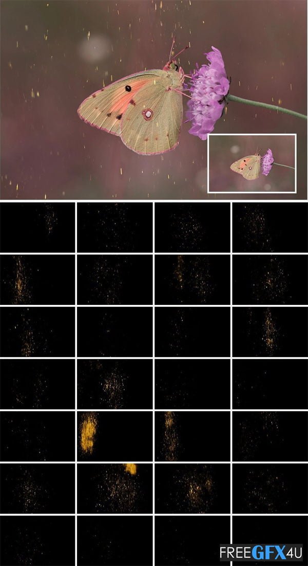 5k Colorful Granules Overlays Colorful Granules Overlays