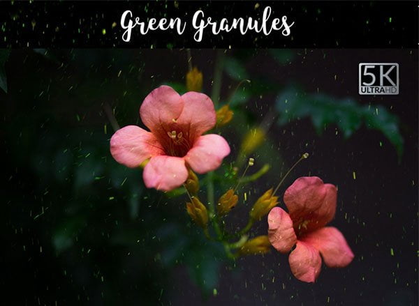 5k Green Granules Overlays Green Granules Overlays