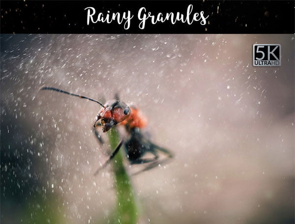5k Rainy Granules Overlays