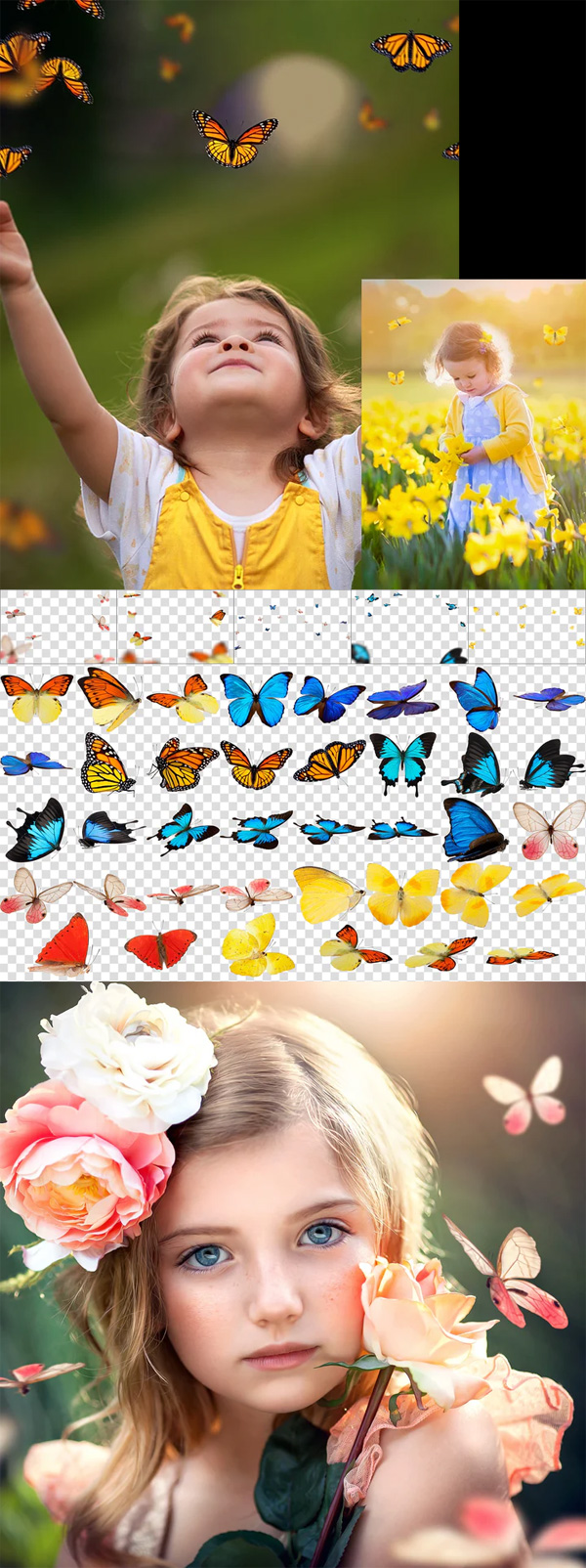 Butterfly Overlays Butterfly Overlays