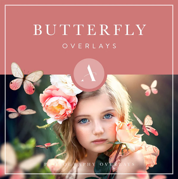 Butterfly Overlays Butterfly Overlays