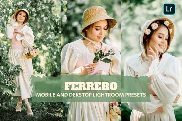 Ferrero Presets Dekstop and Mobile