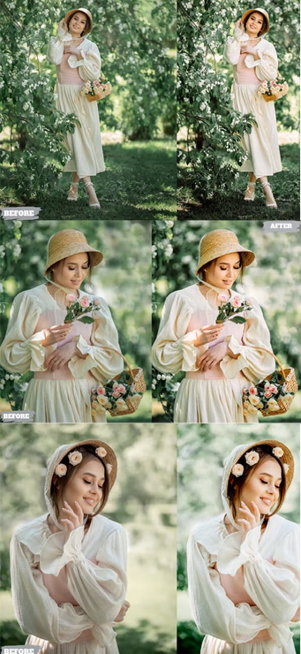 Ferrero Presets Dekstop and Mobile