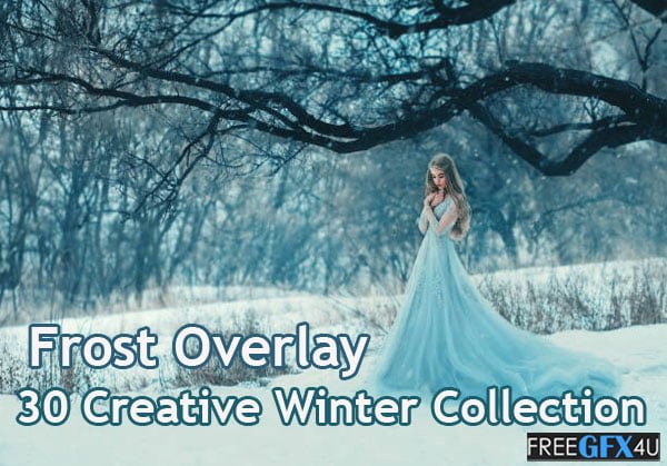 Frost Overlay 30 Creative Winter Collection Frost Overlay Winter Collection