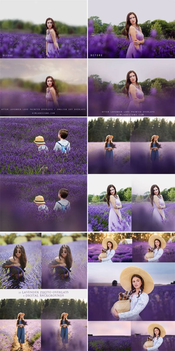 Lavender Flower Photo Overlays Lavender Flower Overlays