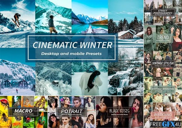 Lightroom Presets Bundles