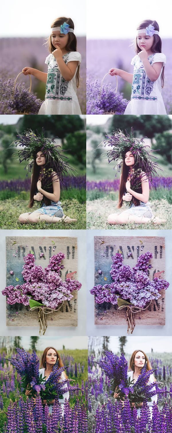 Lightroom Presets Lavender Lightroom Presets Lavender
