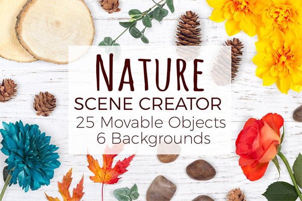 Nature Scene Creator Top View Nature Scene Creator Top View