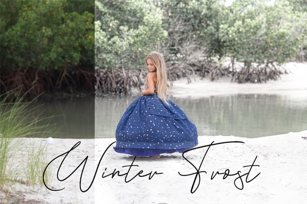 Sweet Soul Studio Winter Frost Action Sweet Soul Studio Winter Frost Action