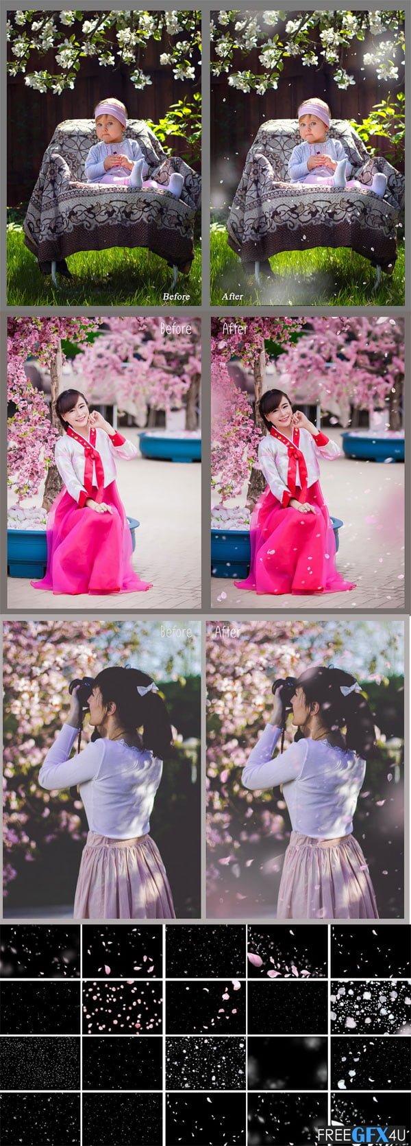 White and Pink Petals