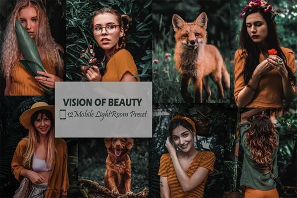 12 Mobile Presets Vision Of Beauty Preset 12 Mobile Presets Vision Of Beauty Preset