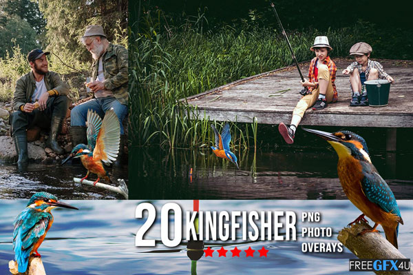 20 Kingfisher Overlays