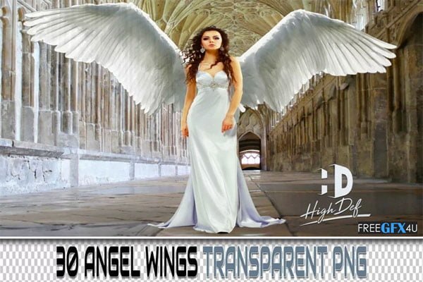 30 Wings PNG Overlays
